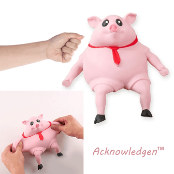 🔥Piggy Squeeze Toy® | Acknowledgen™